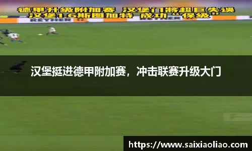 汉堡挺进德甲附加赛，冲击联赛升级大门
