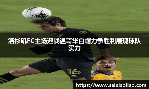 WE真人视讯平台