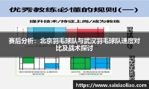 赛后分析：北京羽毛球队与武汉羽毛球队速度对比及战术探讨